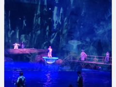 -海合安武汉极地海洋公园