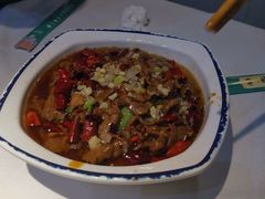 -李恩记清真水饺(北电大厦店)