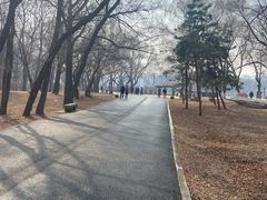 -北陵公园
