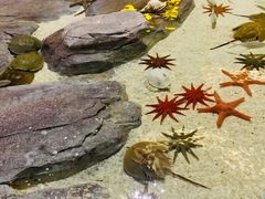 -福州罗源湾海洋世界旅游区
