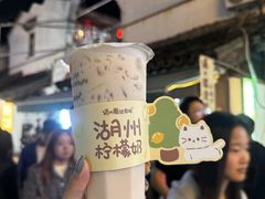 -猫的魔法密林(衣裳街店)