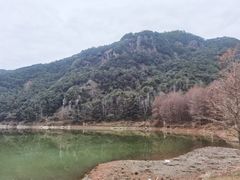 -小芝红树林