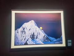 -罗红摄影艺术馆