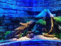 -沈阳海洋探索中心