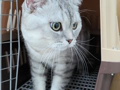 -美联众合动物医院·24h京西诊疗中心