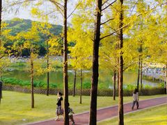 -牛岗山公园