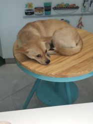 -汉刺青TATTOO STUDIO