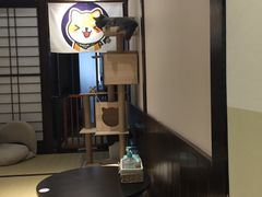 -逗柴咖啡屋·狗咖猫咖宠物桌游