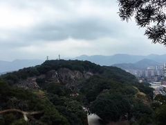 -金鸡山公园