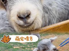 -栖露营camping·天幕烧烤·团建拓展·采摘营地