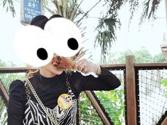 -迪士尼火鸡腿