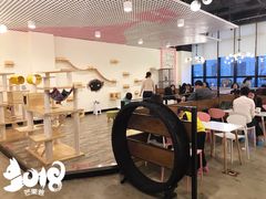 大堂-喵匠猫主题咖啡(凯德和平广场店)