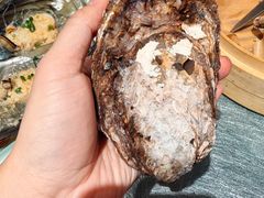 特色木盖蒸生蚝-蚝得喜海鲜(东城店)