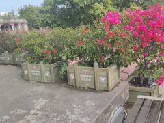 -胡里山炮台