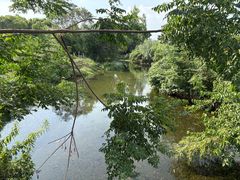 -马陆小张葡萄园农家乐