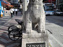 -国际通