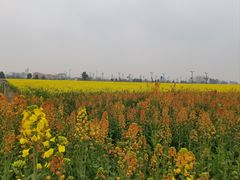 -中国天府农业博览园