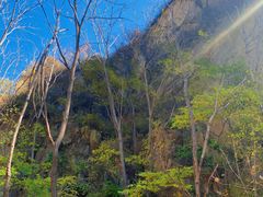 -大岭沟猕猴桃谷风景区