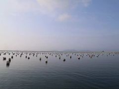 -枸杞岛
