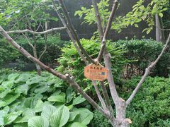 -北京希尔顿逸林酒店