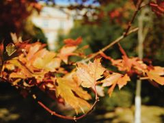 -辽宁大学(崇山校区)