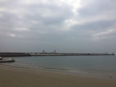 -北海金海湾红树林生态旅游区