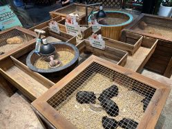 -酷嗒动物文化乐园(cutezoo西溪乐天城店)