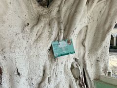 -雅憩花园餐厅