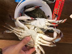 飞蟹-钱库里海鲜自助(星海广场店)