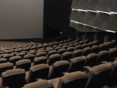 -金逸影城(影视中心IMAX店)