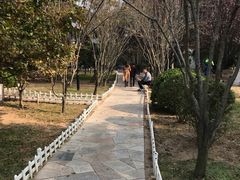-中联运动公园(李沧店)