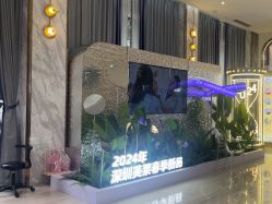 -深圳美莱医疗美容医院