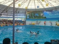 -尼莫海豚馆
