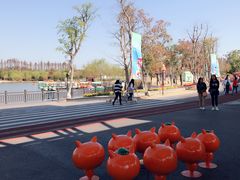 -上海长兴岛郊野公园