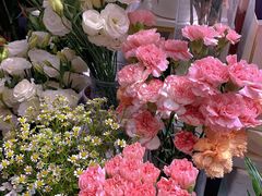 -东方浴足按摩保健中心