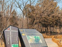 -白水寺森林公园