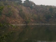 -王借岗森林公园