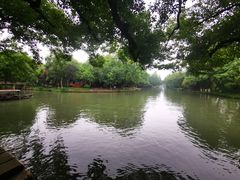 -西溪国家湿地公园