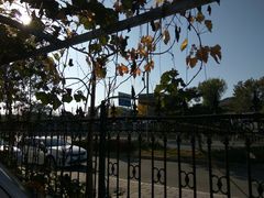 -钰田大院·碳烤虹鳟鱼·怀柔地道农家菜(雁栖湖店)