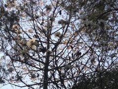 -桃花涧