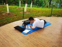 -铁山坪森林公园