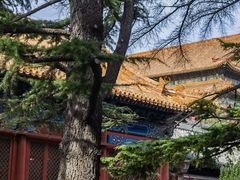 -北京市劳动人民文化宫(太庙)