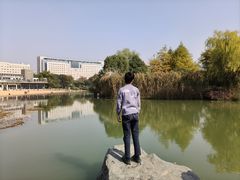 -青枫公园