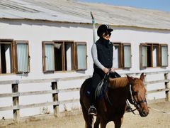 -北京群众马术培训基地