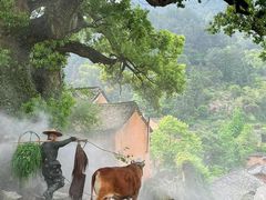 -杨家堂村