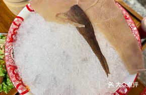 Face Basin Tripe
