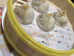 -小杨生煎(深圳岗厦北店)