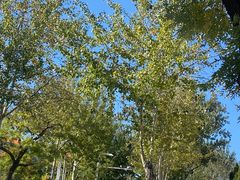 -聚德福海鲜家常菜(刘庄店)