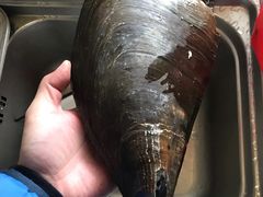 -华威西营里农产品批发市场