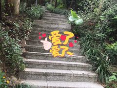 -小南山公园